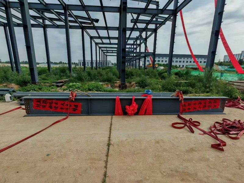 Yongcheng Xingye Steel Structure Company Hebei Bosheng Food Workshopの建設を加速